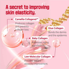 Round Lab Camellia Deep Collagen Firming Cream - 50ml