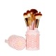 BH Cosmetics Pink Perfection - 10 Pieces Brush Set